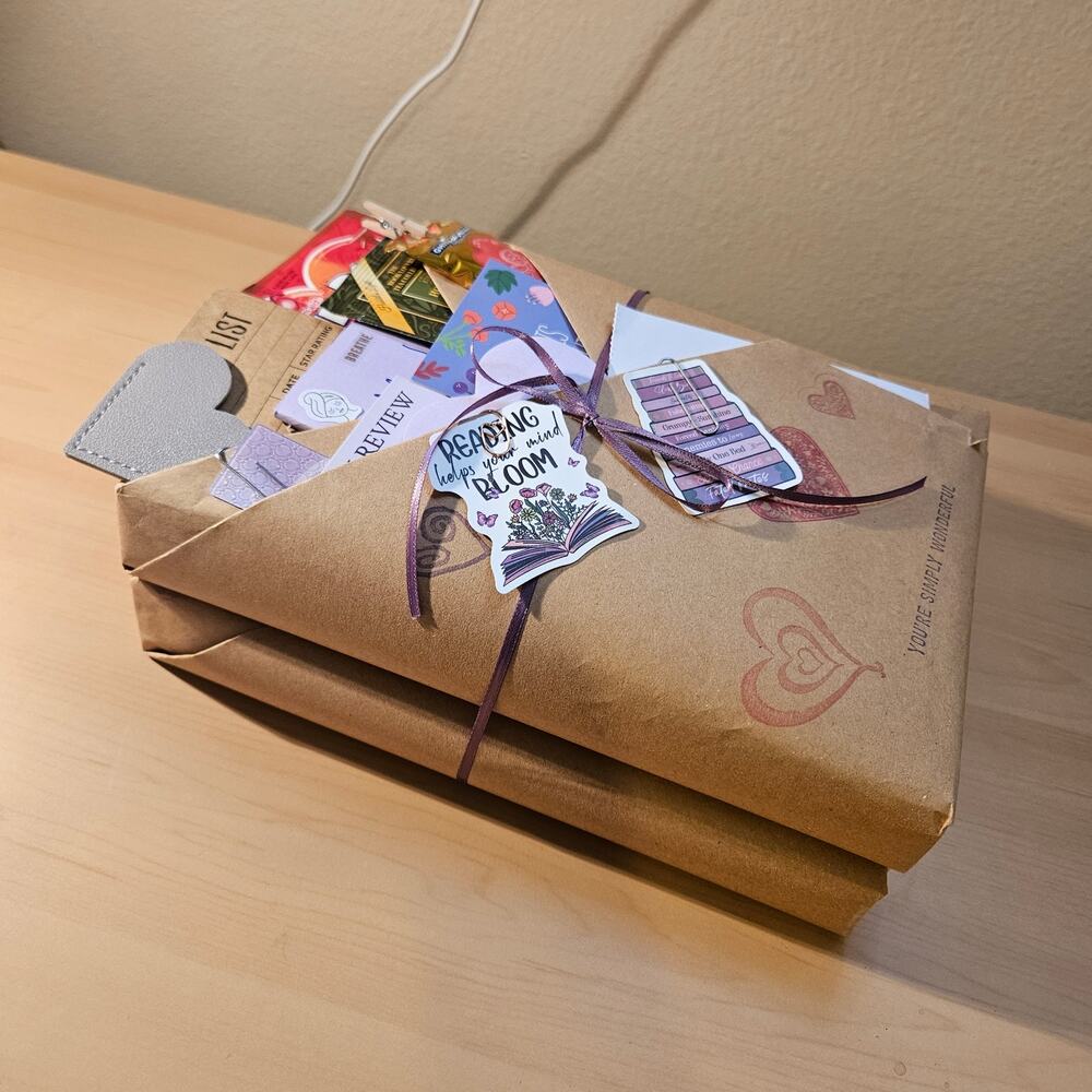 Mystery Blind Date With A Book Bundle- 2 Book Bundle #11 Thriller/Crime/Suspense